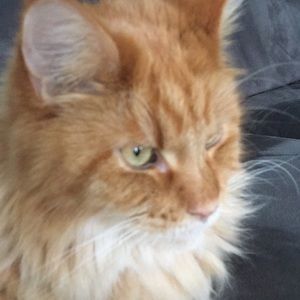 Meet your Posher, Elena